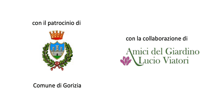 Commune di Gorizia and AGLV.